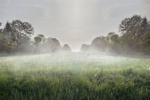 Rustgevende Groningse Heide in de Lente – Mistige Ochtend Fotokunst voor een Verfrissend Interieur
