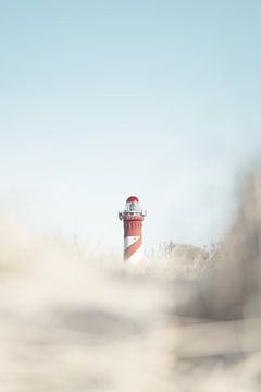 Westerlicht by Jeroen van der Pluijm