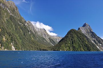 De majestueuze fjorden van Milford Sounds van Frank Photos