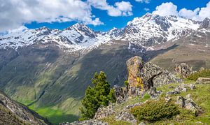 Wildspitze in den Tiroler Alpen im Frühling