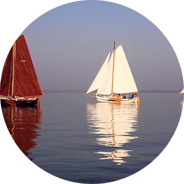 Lemsteraken bij stil weer