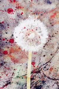 Löwenzahn und Aquarell 2