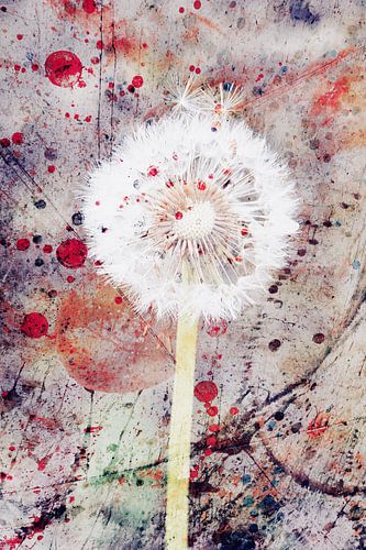 Paardenbloem en aquarel 2