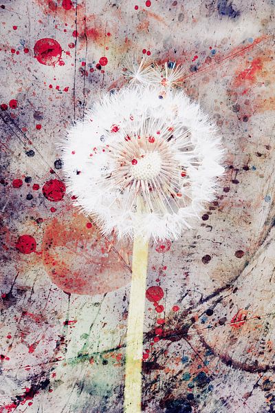 Dandelion and Watercolour 2 by Western Exposure