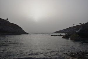 Côte de Tenerife