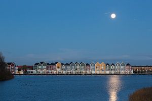 Vissershuisjes aan de Rietplas