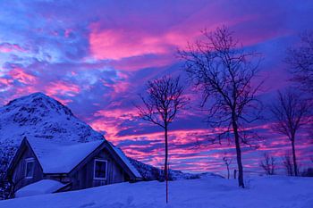 Rosa Sonnenaufgang auf den Lofoten