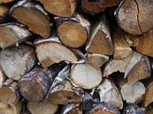 Morning wood. van Isis van Noort thumbnail