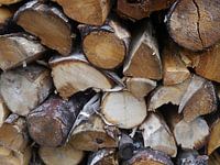 Morning wood.