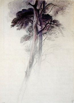 Study of Trees from Turner - John Ruskin