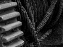 Close-up van een lier in zwart-wit von Edwin Muller