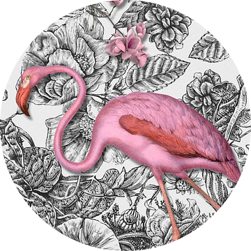 The Pinkered Flamingo van Marja van den Hurk