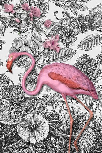 The Pinkered Flamingo van Marja van den Hurk