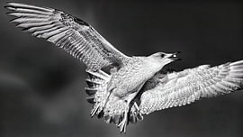Voeding van Detlef Schöler Fotografie