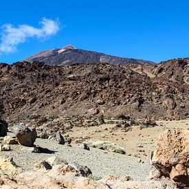 Vulkaanlandschap in het Teide National Park op Tenerife van Reiner Conrad