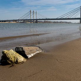 Ewijk 24-03-2012. Die Tacitusbrücke ist eine neue Schrägseilbrücke, die neben der alten Brücke in Ew von Ger Loeffen