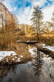 Winter by the stream by Dieter Walther