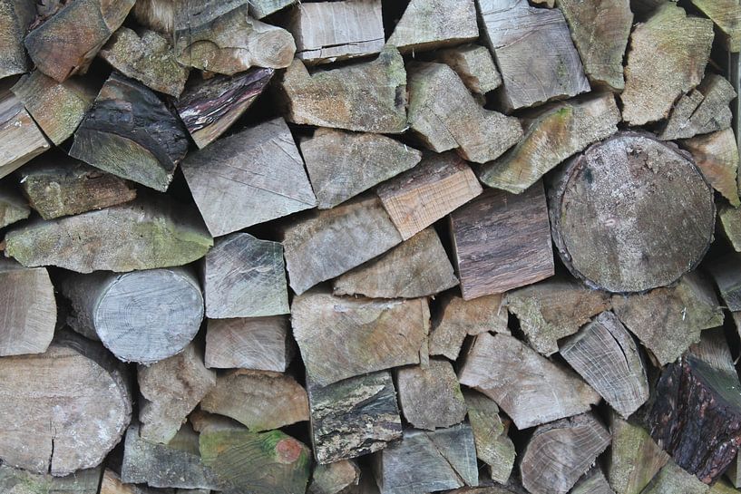 Pilled Wood by Franklin Verbeek