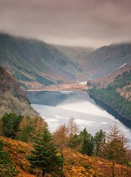 Lac dans la forêt en Irlande sur Sebastian Rollé - travel, nature & landscape photography