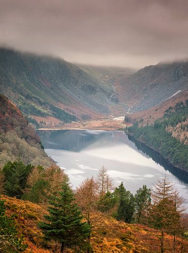 Meer in het bos in Ierland