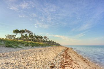 On the Darßer Weststrand by Michael Valjak