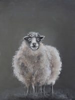 schaap landelijk