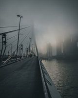 Le pont Erasmus dans le brouillard du matin
