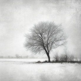 Eenzame Boom – Minimalistisch Winter Schilderij van BowiScapes - Fine Art Landschappen