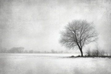 Einsamer Baum - Minimalistische Wintermalerei