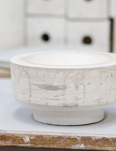 Schimmel mit einem Lächeln