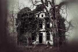 Beautyful Decay by n.Thi Photographie