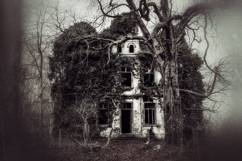 Déclin de la beauté par n.Thi Photographie