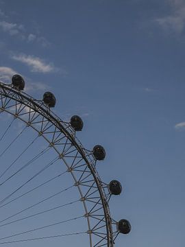 London Eye | Riesenrad | London | England | Vereinigtes Königreich von Nicole Van Stokkum