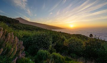 Teide sunset van Steven Driesen