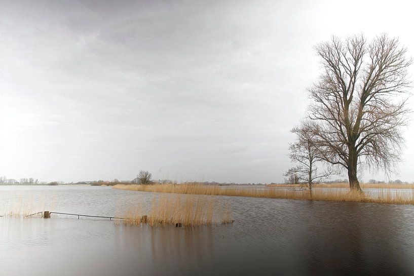 Hoog water van Ronald Kromkamp