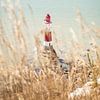 Rood witte vuurtoren bij Seven Sisters Cliffs gezien door gedroogd gras van Angeline Dobber