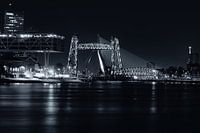 Rotterdam in Black and White