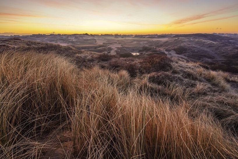 Dawn by Dirk van Egmond