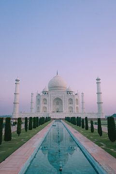 Taj Mahal during sunrise | travel photography print | Agra, India by Kimberley Jekel