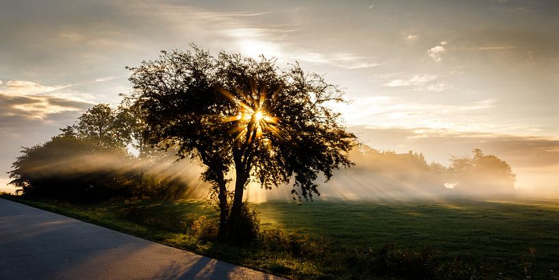 Mist en Zonsopkomst van Jaap Terpstra