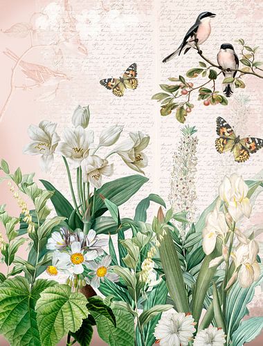 In de tuin met de witte bloemen