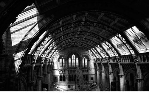 National History Museum London black and white photo