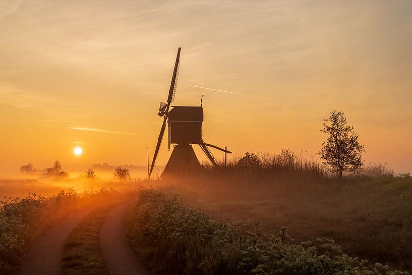 Die Hosenmühle am frühen nebligen Morgen nach Sonnenaufgang von Rob Saly