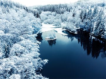 Winter wonderland van Joris Machholz