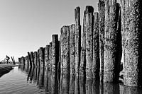 Cyclist at the tide line