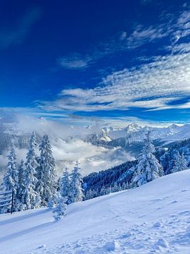 Winterlandschaft im Montafon