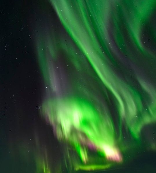 Northern lights in the dark night sky by Sjoerd van der Wal Photography