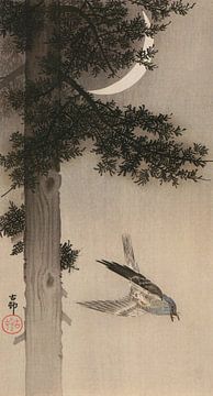 Ohara Koson - Accentuation alpine avec croissant de lune (édité) sur Peter Balan