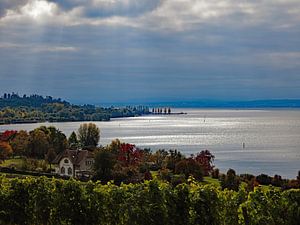 Le lac de Constance en automne 7.0