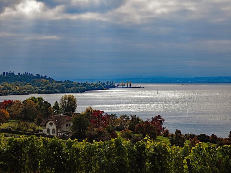 Le lac de Constance en automne 7.0 par Ingo Laue